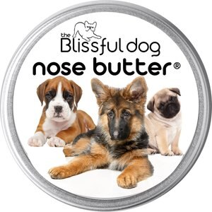 The Blissful Dog 3 Cute Puppies Nose Butter, 2-oz