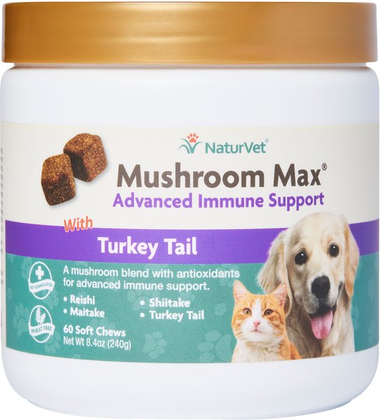 NaturVet Mushroom Max with Turkey Tail Soft Chews Immune Supplement for Cats & Dogs, 60 count slide 1 of 1