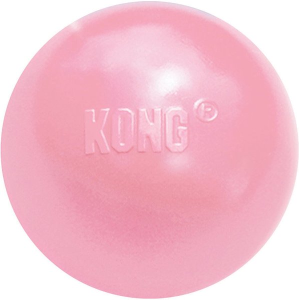 KONG Stuffable Puppy Ball Dog Toy, Color Varies, Medium/Large slide 1 of 4