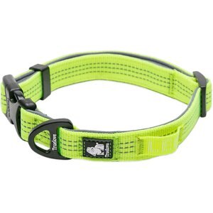 Chai's Choice Outdoor Adventure 3M Polyester Reflective Dog Collar, Neon Yellow, Medium: 13.8 to 19.7-in neck, 4/5-in wide