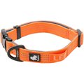 Chai's Choice Outdoor Adventure 3M Polyester Reflective Dog Collar, Orange, Medium: 13.8 to 19.7-in neck, 4/5-in wide