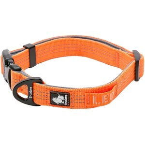 Chai's Choice Outdoor Adventure 3M Polyester Reflective Dog Collar, Orange, Small: 9.8 to 13.8-in neck, 3/5-in wide
