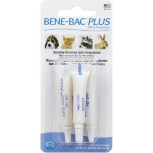 PetAg Bene-Bac Plus Gel Digestive Supplement for Dogs, Cats & Small Pets, 4 pack