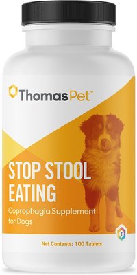 stop stool eating dogs