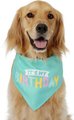 Frisco Dog & Cat Birthday Bandana, Medium/Large