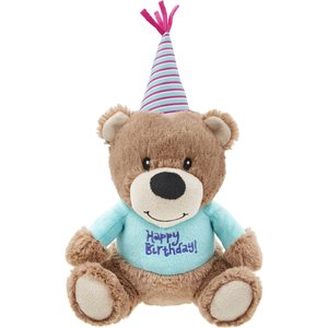 Frisco Plush Birthday Bear with Striped Hat Dog Toy