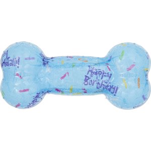 Frisco Birthday TPR Bone Dog Toy, Blue, Small