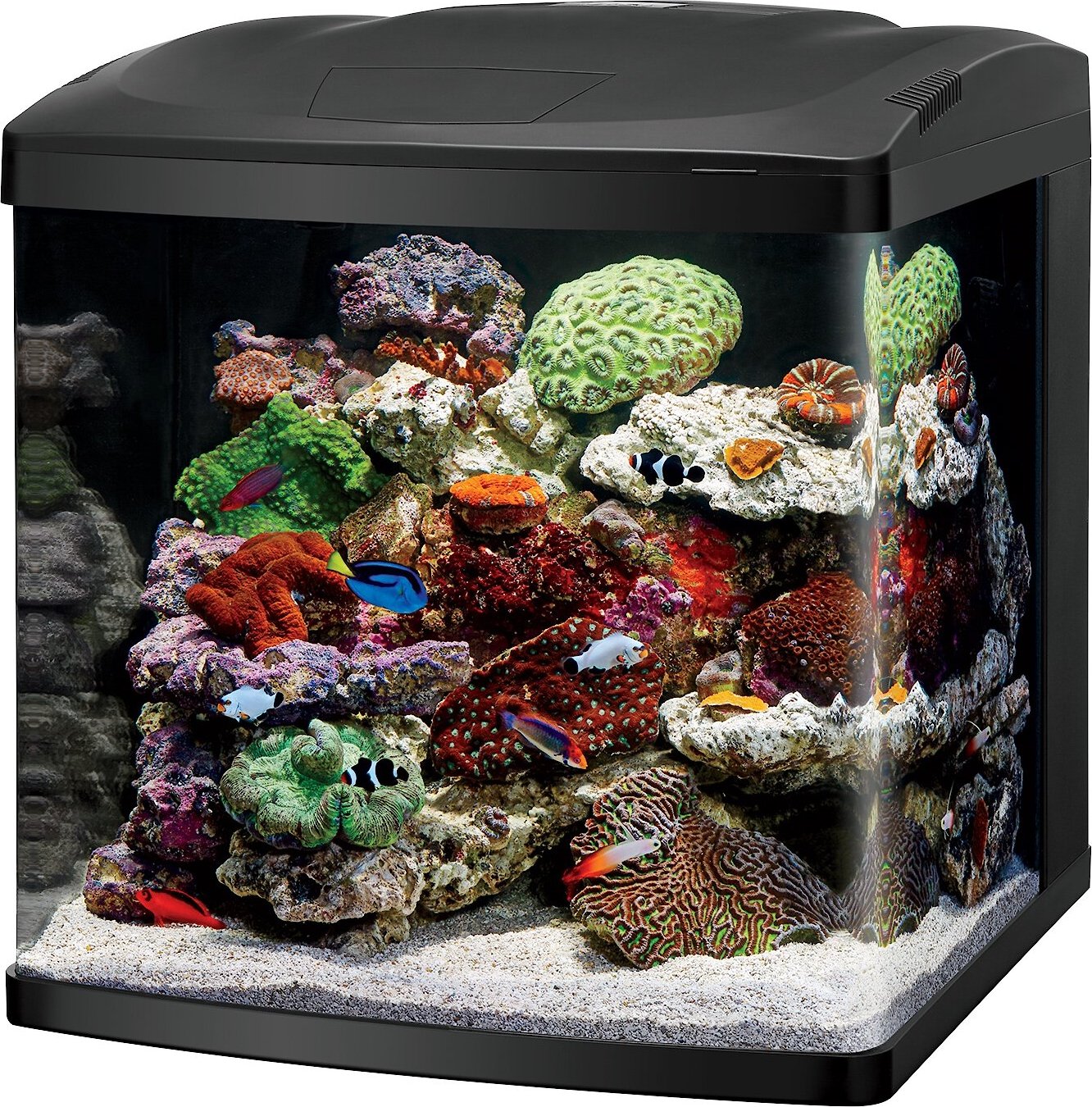Coralife Biocube Aquarium - 32 Gallon