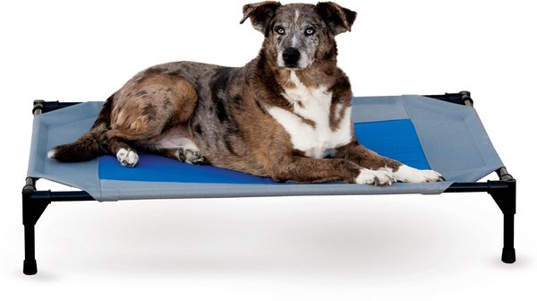 K&H Pet Products Coolin' Pet Cot Elevated Pet Bed, Large slide 1 of 10