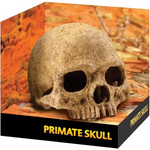 Exo Terra Primate Skull Terrarium Hiding Place