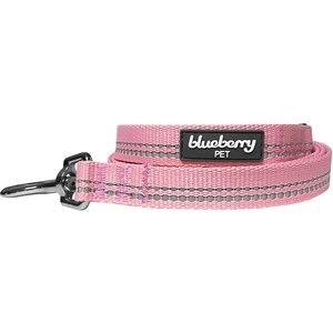 Blueberry Pet 3M Pastel Polyester Reflective Dog Leash, Baby Pink, Small: 5-ft long, 5/8-in wide