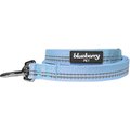 Blueberry Pet 3M Pastel Polyester Reflective Dog Leash, Baby Blue, Medium: 5-ft long, 3/4-in wide