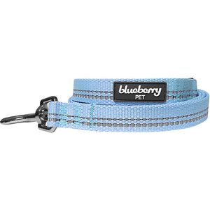 Blueberry Pet 3M Pastel Polyester Reflective Dog Leash, Baby Blue, Large: 4-ft long, 1-in wide