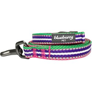 Blueberry Pet 3M Striped Polyester Reflective Dog Leash, Pink, Small: 5-ft long, 5/8-in wide
