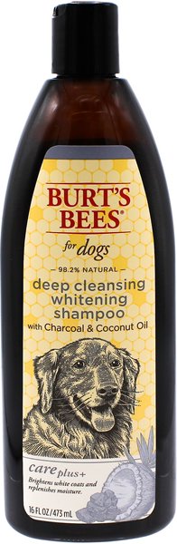 Burt's Bees Care Plus+ Charcoal & Coconut Oil Deep Cleansing Whitening Dog Shampoo, 16-oz bottle slide 1 of 2