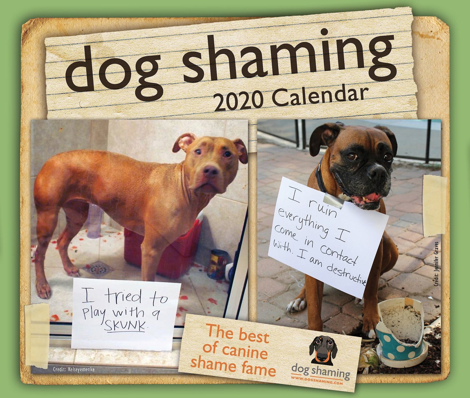 Dog Shaming 2020 Desk Calendar