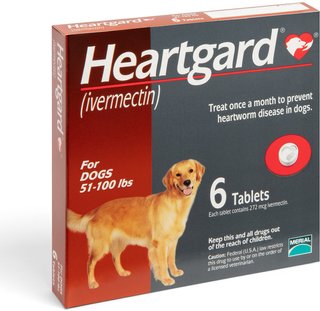 chewy dog heartworm