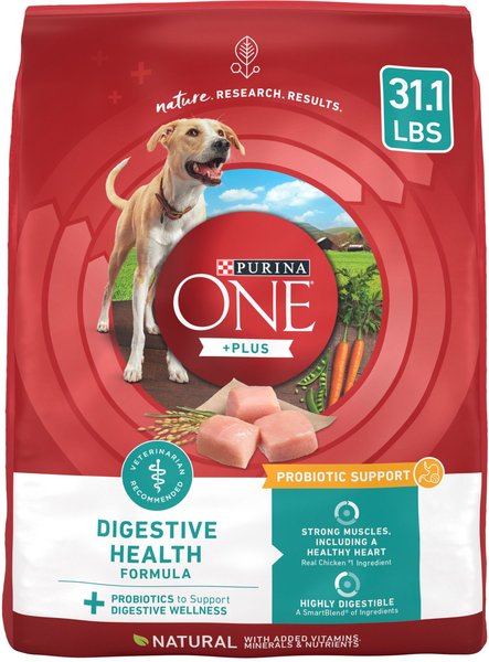 Purina ONE +Plus Digestive Health Formula Dry Dog Food, 31.1-lb bag slide 1 of 11