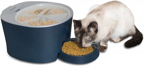 PetSafe 6-Meal Automatic Dog & Cat Feeder, Blue slide 1 of 10