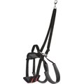 PetSafe CareLift Rear Handicapped Support Dog Harness, Small
