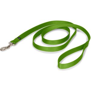 PetSafe Premier Nylon Dog Leash, Apple Green, 6-ft long, 3/4-in wide