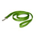 PetSafe Premier Nylon Dog Leash, Apple Green, 6-ft long, 1-in wide
