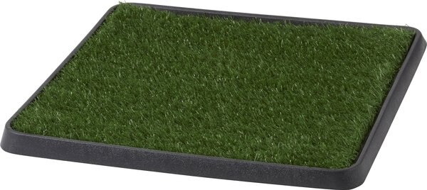 Frisco Indoor Grass Potty, 20 x 20 in slide 1 of 4