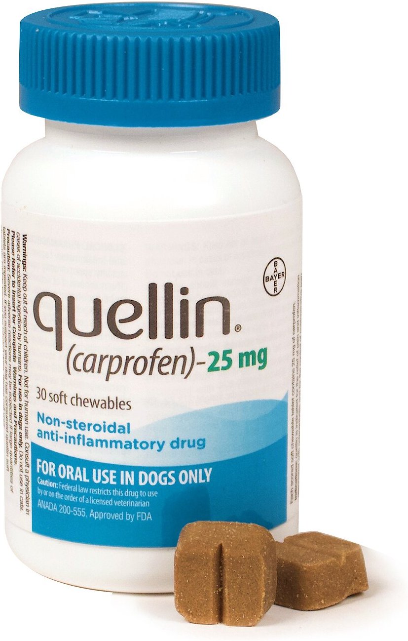quellin-carprofen-soft-chews-for-dogs-25-mg-30-soft-chews-chewy