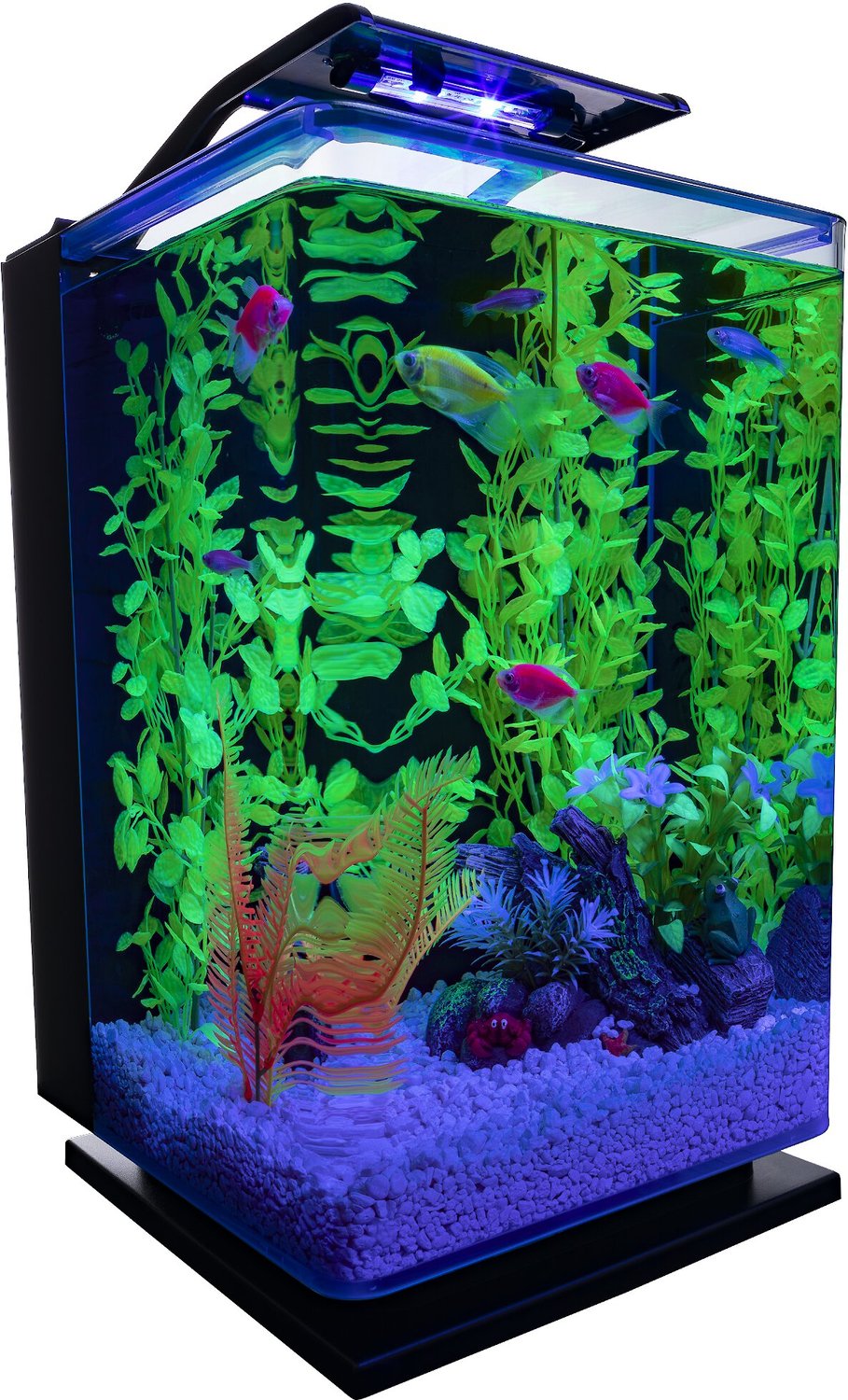 GloFish - 5 Gallon Aquarium Kit