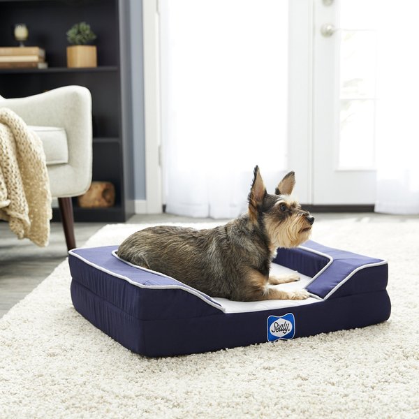 Sealy Lux Premium Orthopedic Bolster Dog Bed w/Removable Cover, Small, Navy slide 1 of 7
