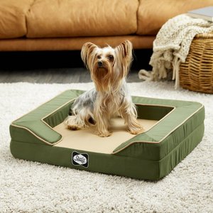 Sealy Lux Premium Orthopedic Bolster Dog Bed w/Removable Cover, Small, Green