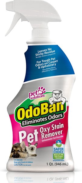OdoBan Pet Oxy Stain Remover, 32-oz bottle slide 1 of 6