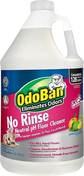 OdoBan No Rinse Neutral pH Floor Cleaner, Citrus Scent, 1-gal bottle slide 1 of 6
