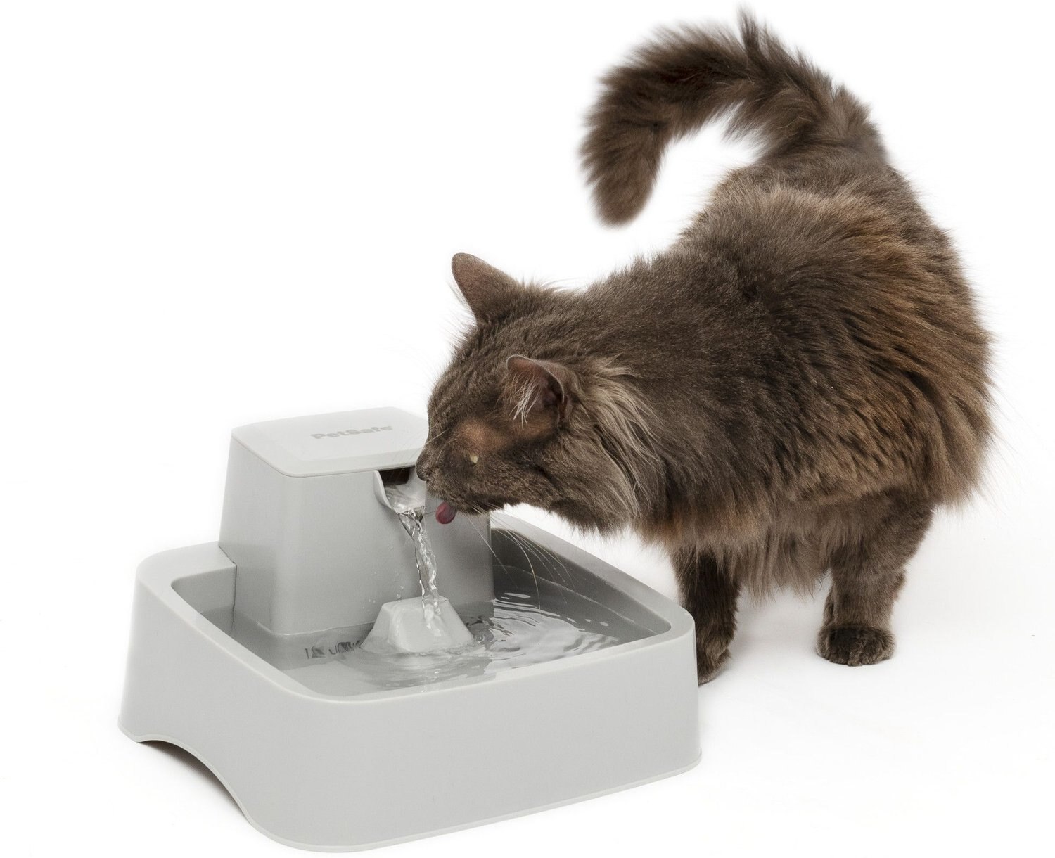 petsafe drinkwell 2 gallon dog and cat water fountain