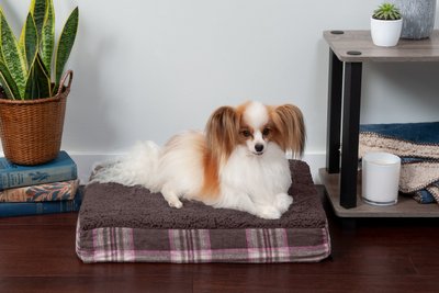 FurHaven Faux Sheepskin & Plaid Deluxe Orthopedic Cat & Dog Bed w/Removable Cover, slide 1 of 1