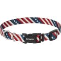 Frisco American Flag Polyester Dog Collar, Medium: 14 to 20-in neck, 3/4-in wide