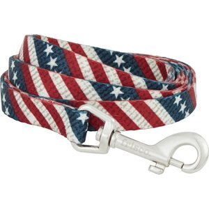 Frisco American Flag Polyester Dog Leash, Small: 6-ft long, 5/8-in wide