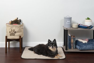 FurHaven ThermaNap Plush Velvet Self-Warming Dog & Cat Mat, slide 1 of 1