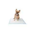 Frisco Dog Training & Potty Pads, 22 x 23-in, 300 count, Unscented