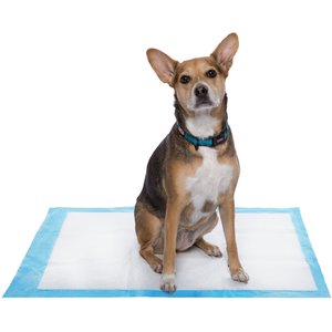 Frisco Extra Large Dog Training & Potty Pads, 28 x 34-in, 150 count, Unscented