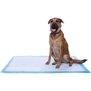 Frisco Giant Dog Training & Potty Pads, 27.5 x 44-in, 100 count, Unscented