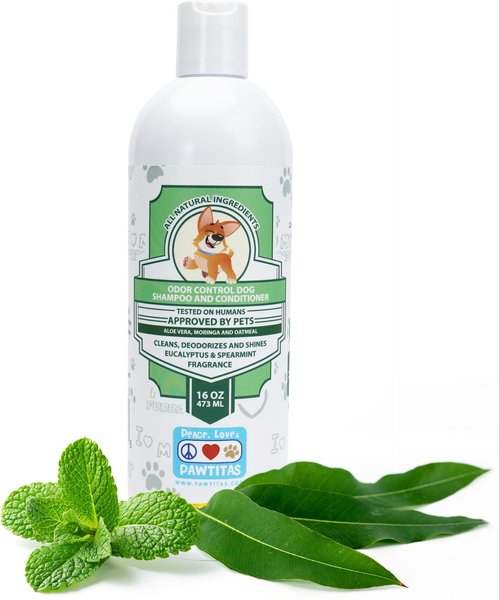 Pawtitas Organic Eucalyptus & Spearmint Oatmeal Dog Shampoo & Conditioner, 16-oz bottle slide 1 of 3