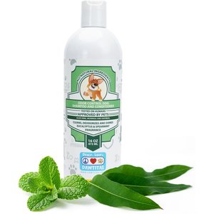 Pawtitas Organic Eucalyptus & Spearmint Oatmeal Dog Shampoo & Conditioner, 16-oz bottle