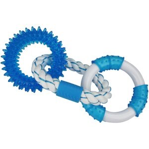 Multipet Canine Clean Mint Rings Tough Dog Chew Toy, Blue