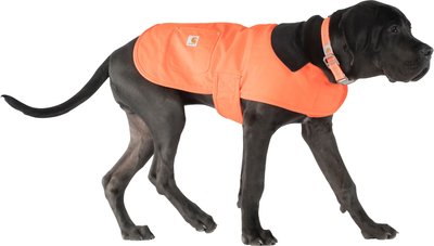 carhart dog coats