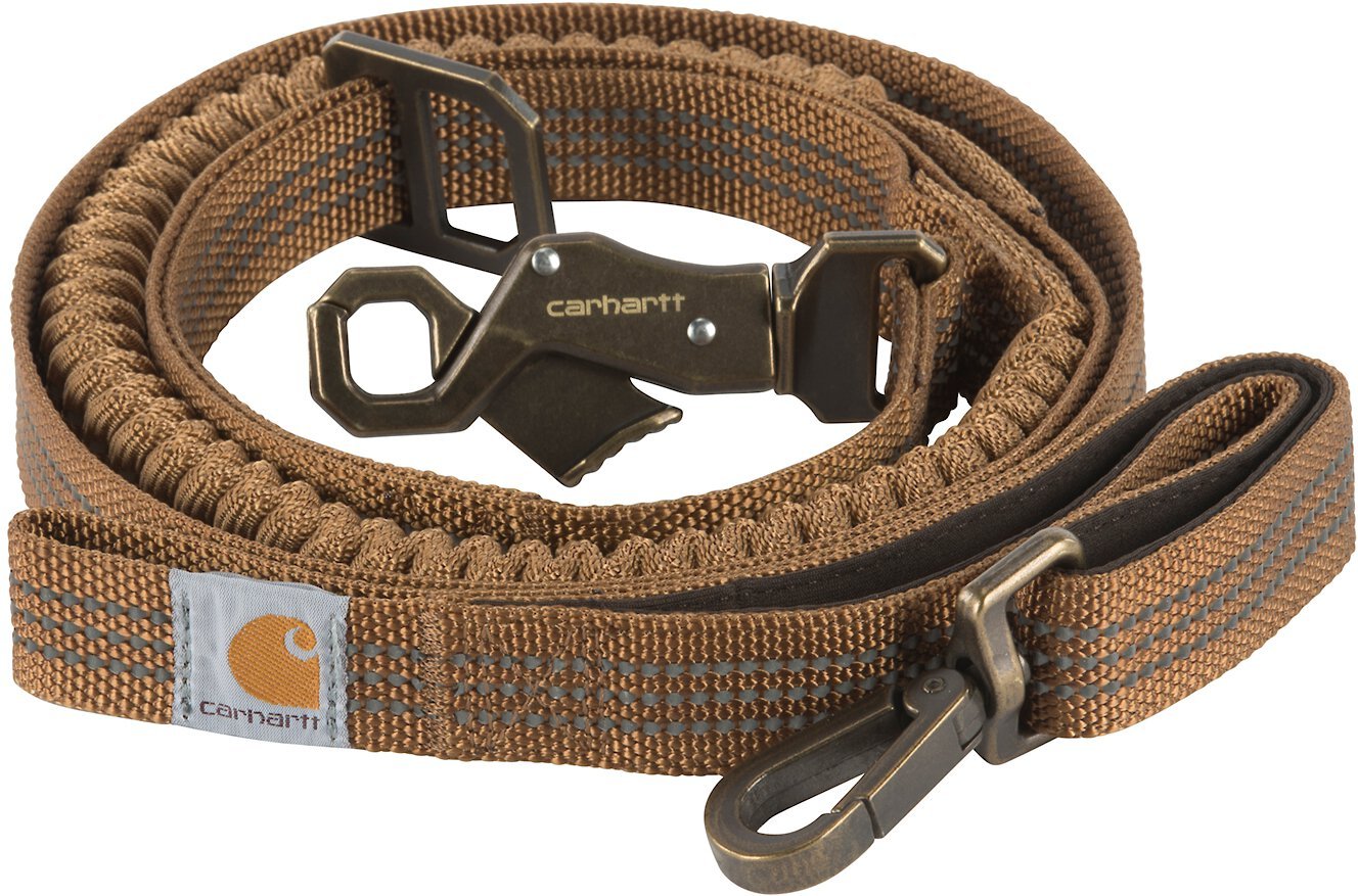 shock leash for dogs