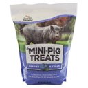 Manna Pro Berries & Cream Flavor Mini-Pig Treats, 4-lb bag