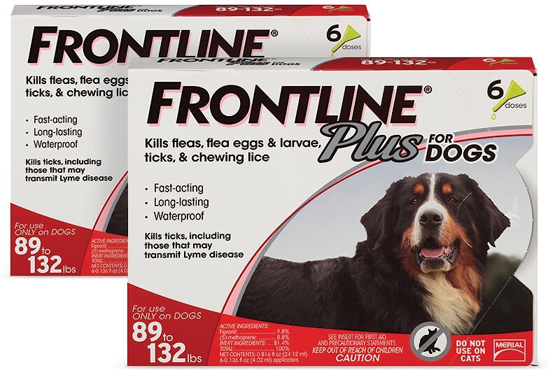 chewy frontline cats