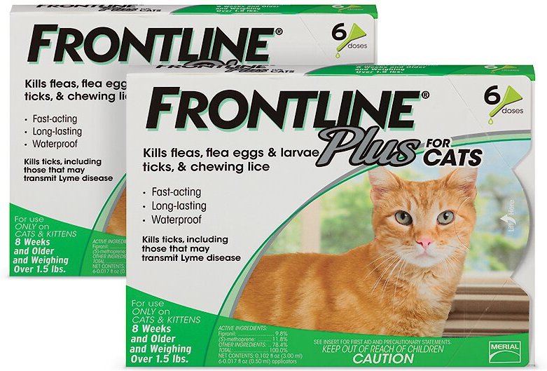 Frontline Plus Flea & Tick Cat & Kitten Treatment, 12 treatments