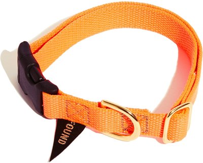 Found My Animal Rescue Orange Project Dog & Cat Collar, slide 1 of 1